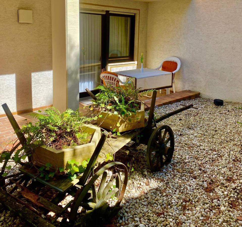 Hotel Krone Riesling تريتينييم المظهر الخارجي الصورة