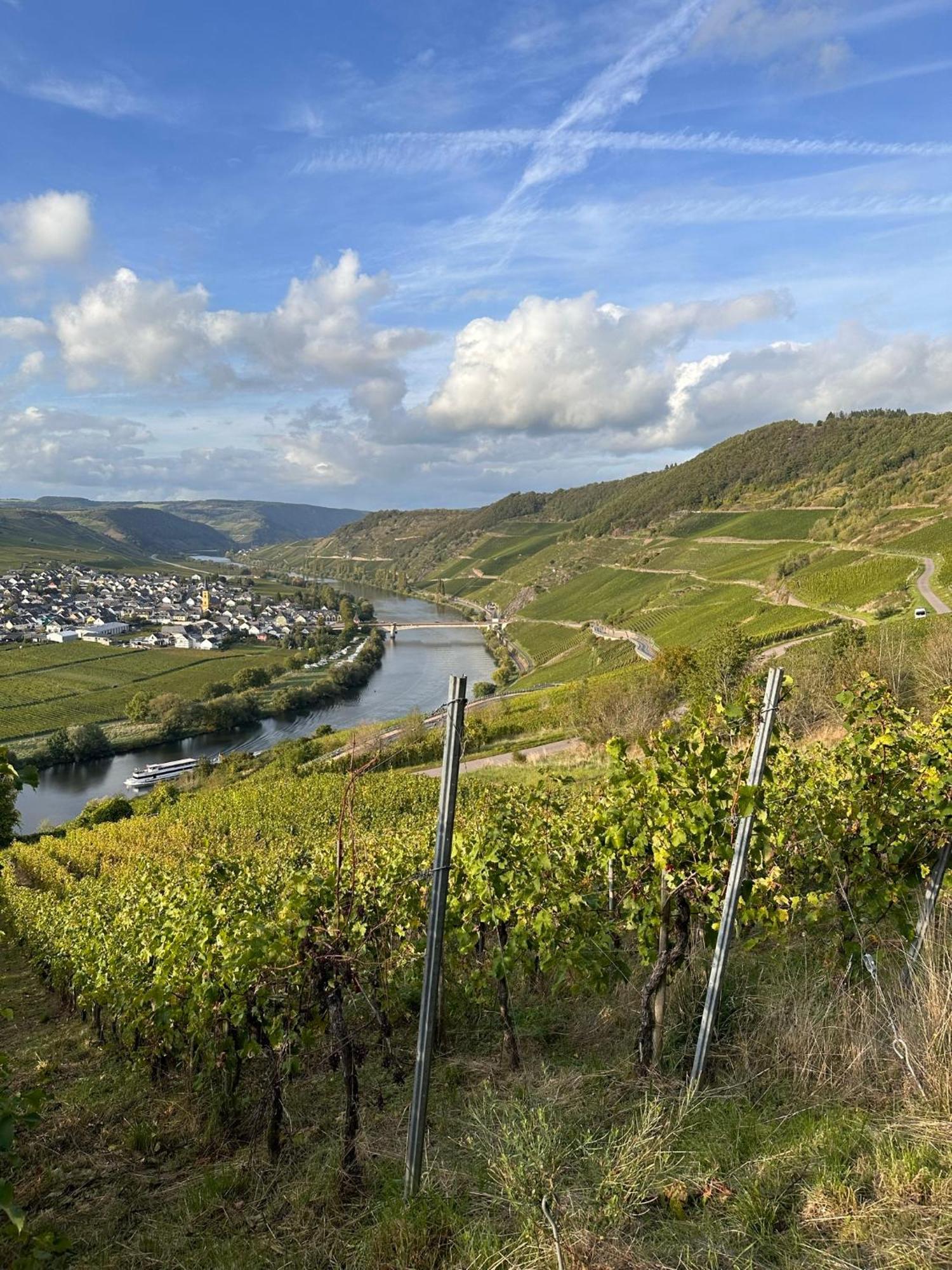 Hotel Krone Riesling تريتينييم المظهر الخارجي الصورة